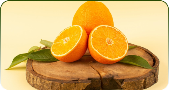 The Science of Skincare: Understanding Vitamin C, Niacinamide, Lactic Acid, and Jojoba Ester