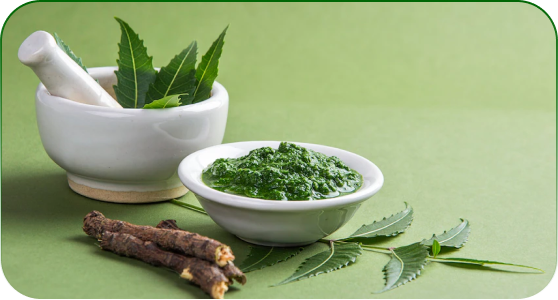 Neem and Salicylic Acid for Skin Care: Top 10 Amazing Benefits